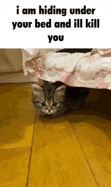 a kitten is hiding under a bed with a caption that says i am hiding under your bed and ill kill you