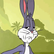 bugs bunny is a cartoon character from the looney tunes series .