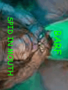 a blurred image of a cat with the words spit in mouth and barf below it