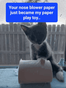 a kitten playing with a roll of toilet paper with a caption saying your nose blower paper just became my paper play toy