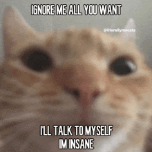 a close up of a cat with a caption that says ignore me all you want ill talk to myself im insane