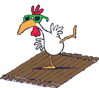 a chicken wearing sunglasses is standing on a wooden raft