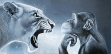 a lion and a chimpanzee are standing next to each other with their mouths open .