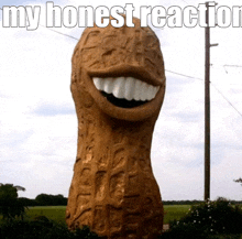 a statue of a peanut with a big smile and the words my honest reaction