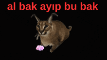 a cat with the words al bak ayip bu bak on the bottom