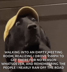 a black dog wearing a yellow hat with a caption that says walking into an empty meeting room