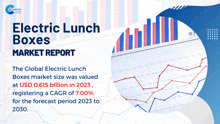 an electric lunch boxes market report shows a graph