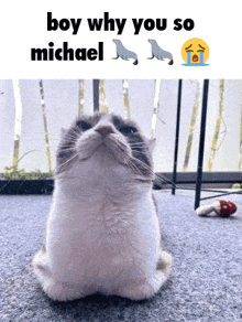 a cat is sitting on the floor looking up at the camera with a caption that says `` boy why you so michael '' .