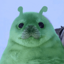 a green seal with antennas on its head looks like shrek