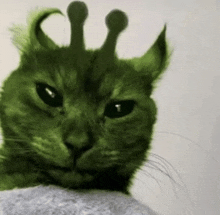 a green cat with a crown on its head is sitting on top of a rock .