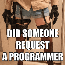 a person holding a gun with the words did someone request a programmer