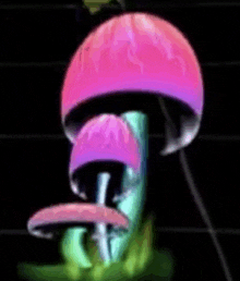 a cartoon drawing of a mushroom with a pink and purple glowing cap on a black background .