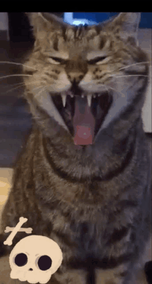 a cat with its mouth wide open and a skull in the background