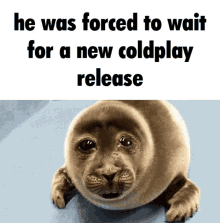 a seal with the words he was forced to wait for a new coldplay release written above it