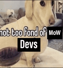 a dog sitting on a table next to a glass of wine with the words not too fond of mow devs above it