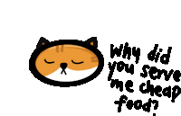 a drawing of a cat with the words " why did you serve me cheap food " written below it