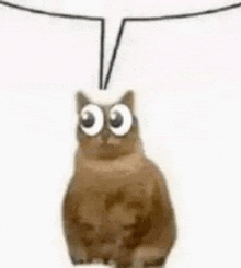 a cat with big eyes is sitting under a speech bubble on a white background .