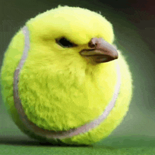 a yellow tennis ball with a bird shaped head