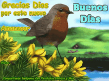 a picture of a bird with the words " buenos dias " on it