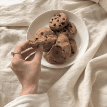 a plate of chocolate chip cookies with a bite taken out of one of them