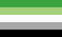 the asexual flag is green , white , and gray with a black stripe in the middle .