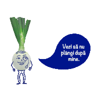 a cartoon onion is standing next to a blue speech bubble that says vezi sa nu plangi după mine