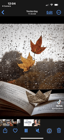 a phone screen shows a picture of a paper boat and leaves in the rain