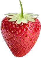 a strawberry with a green stem and leaves on a white background