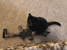 a black cat is sitting on top of a rifle with the caption " naciones para heredar las estrellas "