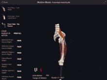 a computer screen shows a skeleton and muscles and says motion mode on the top