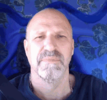 a bald man with a beard wearing a blue shirt looks at the camera