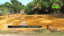 a television screen shows a muddy field and the words media on it