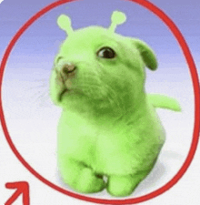 a green stuffed animal is sitting in a red circle with an arrow pointing to the right .