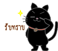 a black cat with a red collar salutes with a yellow star above it