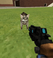 a cat is standing in the grass next to a person holding a gun with the letter b on it