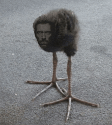 an ostrich with a man 's head on it 's head