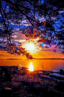 a sunset over a body of water with a tree in the foreground