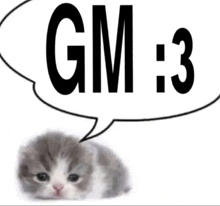 a cat with a speech bubble that says " gm : 3 "