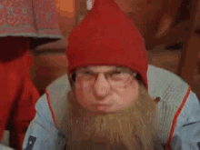 a man with a beard and glasses is wearing a red hat and sweater .