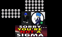 a poster that says sorry you 're not a sigma with skulls on it