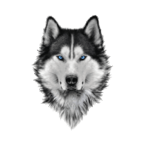 a black and white drawing of a husky 's face with blue eyes