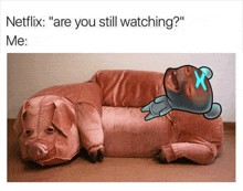 a picture of a stuffed pig laying on a couch with the caption " are you still watching "