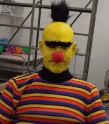 a person dressed as ernie from sesame street has a red nose