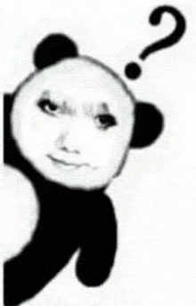 a panda bear with a question mark above its head is making a funny face .