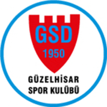 a logo for gsd 1950 shows a castle in the center