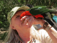 a woman in a hat holds a red and green parrot on her face