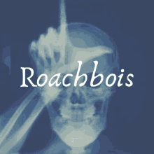 an x-ray of a person 's head with the words roachbois on the bottom