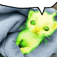 a green and yellow cat is wrapped in a blanket