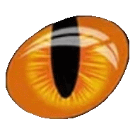 a close up of an orange cat 's eye with a black pupil on a white background .