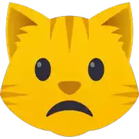 a cat with a sad face on its face